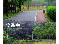 -火炉山森林公园