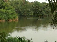 iphone_upload_pic-成都大熊猫繁育研究基地