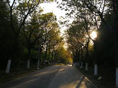 -白塘生态植物园