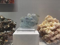 -湖南省地质博物馆