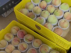 -老袁家蜜桃农场·阳山水蜜桃