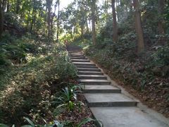 -广州市帽峰山景区