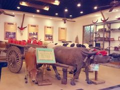 android_upload_pic-横沥牛庄(总店)