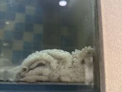 -蔚海之都·象山蒸汽海鲜(仙霞路店)