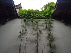 -张公山寨景区