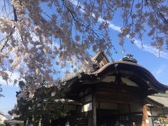 -醍醐寺