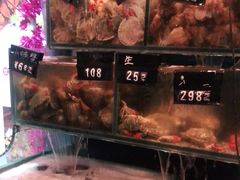 -南山酒肆(南山董事绘店)