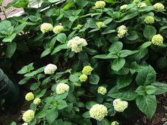 -怡咖啡·自助餐·西安香格里拉