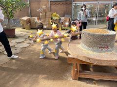 -河北村民俗体验园