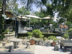 -蘇河湾·新鲁菜·泰山宴(泰山店)