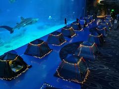 -珠海长隆海洋王国
