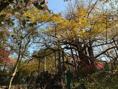 -虞山风景区