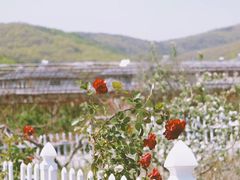 -北马山庄植趣咖啡