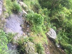 -夏霖九天银瀑风景区