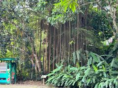 -中国科学院西双版纳热带植物园
