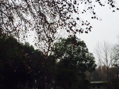 -解放公园