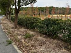 -嘉北郊野公园