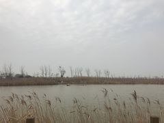 -盐城丹顶鹤湿地生态旅游区