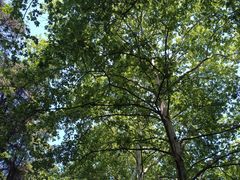 -雨花台烈士纪念馆