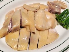 -新兴·金羊座·粤菜点心(乐峰店)