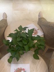 -北京俪婴妇产医院(朝阳大悦城店)