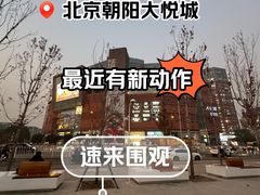 -猫十亿·布偶金渐层·曼基康矮脚猫舍(青年路店)