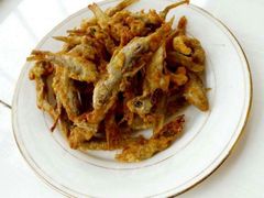 鲟鳇鱼-忆乡情铁锅炖鱼饭店(延庆店)