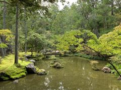 -西芳寺(苔寺)