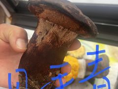 -野菌王•养生汤锅•野生菌火锅(大理漾濞路店)