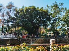 -晓港公园
