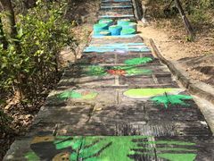 -广州白江湖森林公园