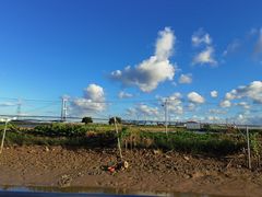-恒盛海鲜餐厅