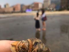 -浪琴湾度假村