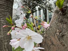 -星湖街(地铁站)