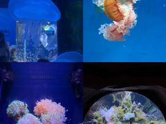 -南昌融创海世界