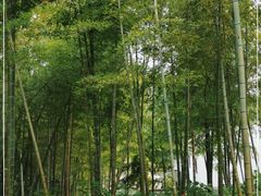 -兰亭风景区