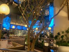 -桂满陇·海市蜃楼·黑金(国金店)