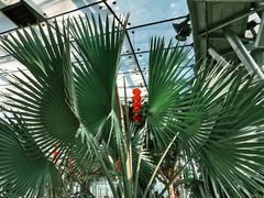 -北京植物园-展览温室