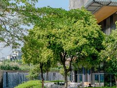 -欢乐海岸椰林沙滩-2025湾区超级灯会