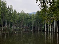 -波尔登森林公园