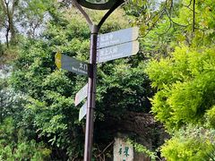 -深圳仙湖植物园