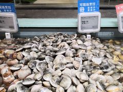 -盒马鲜生(红莲店)