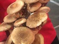 -谭鸭血老火锅(漳州路店)