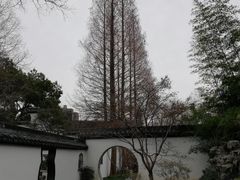 -上海醉白池公园