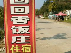 -千年银杏谷文化旅游区