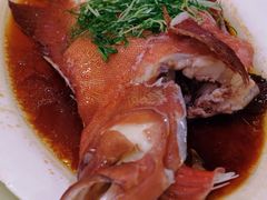 -老字号蛇口德记烧腊饭店·海鲜加工