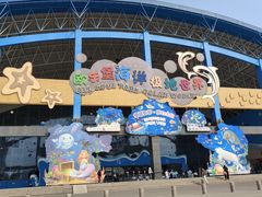-泉城欧乐堡海洋极地世界