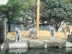 -常州淹城野生动物世界