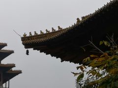 -南京市江宁方山