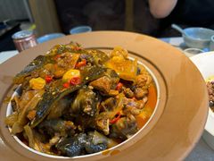 -洞庭家宴·头牌甲鱼(广渠门店)